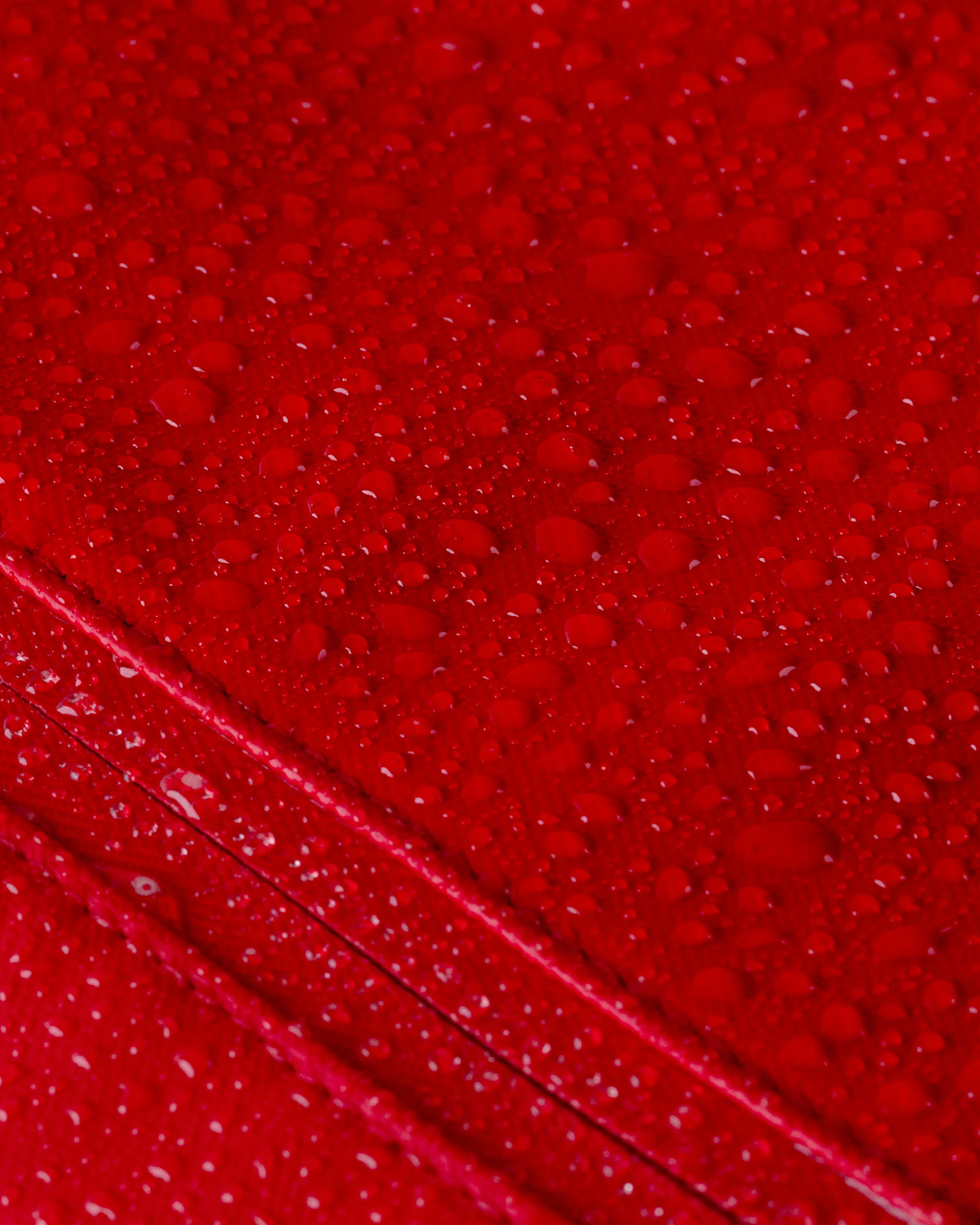 Cascade Backpack - Standard - Image 96