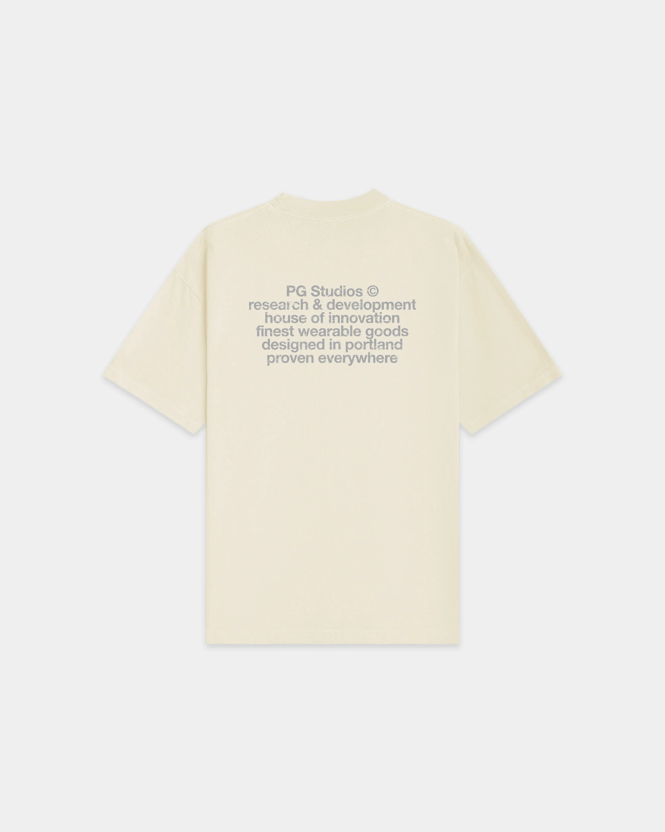 PGS_T 001 - Image 2
