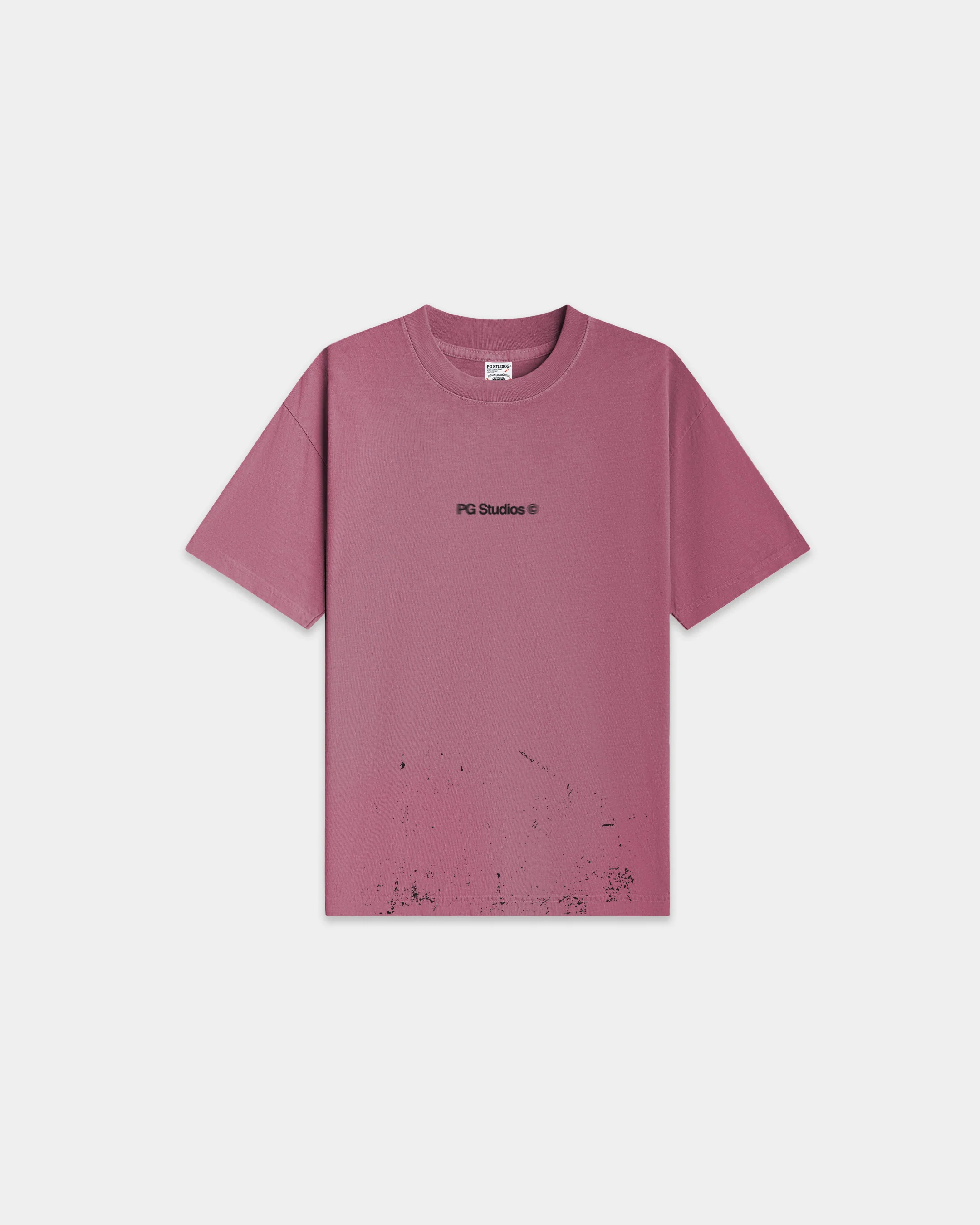 PGS_T 001 - Image 3
