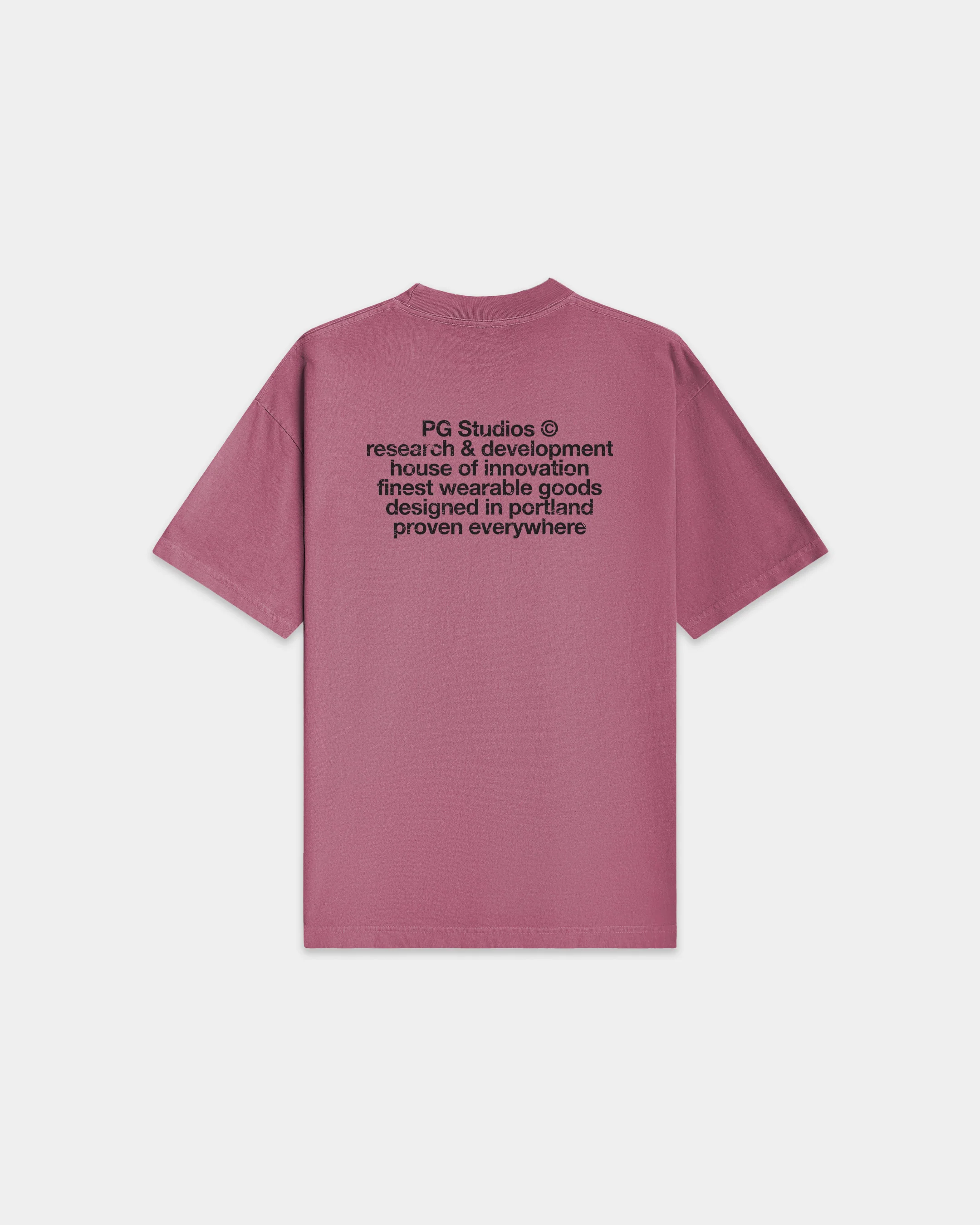 PGS_T 001 - Image 4